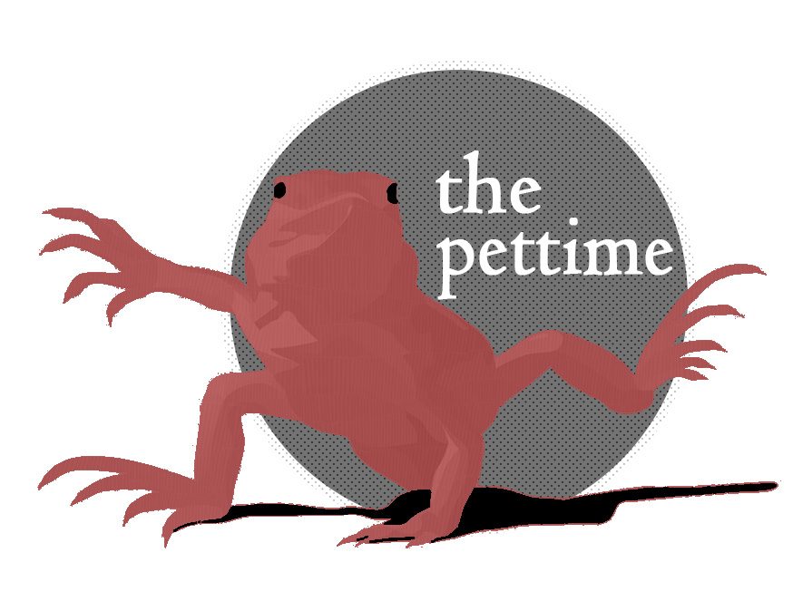 The Pet Time - Reptile Guides, Supplies, and Fun Facts
