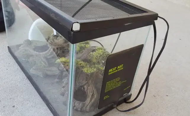 under tank heating pad for leopard gecko