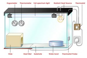 thermostat for leopard gecko