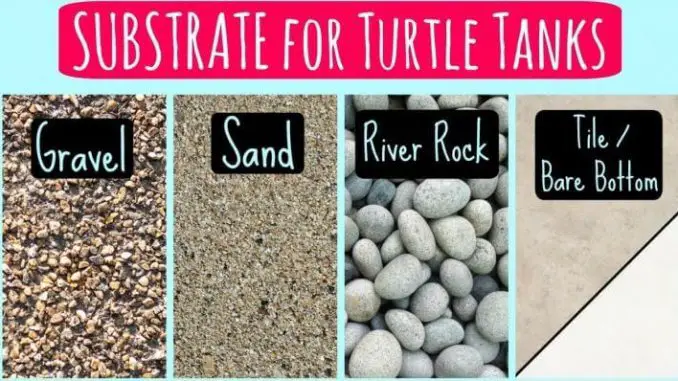 best-turtle-substrate
