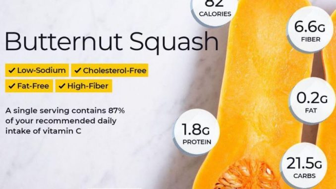 Can Bearded Dragons Eat Butternut Squash Can Bearded Dragons Eat Butternut Squash