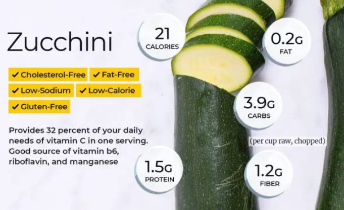Can Bearded Dragons Eat Zucchini Squash