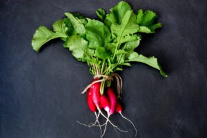 Can Bearded Dragons Eat Radish Greens?