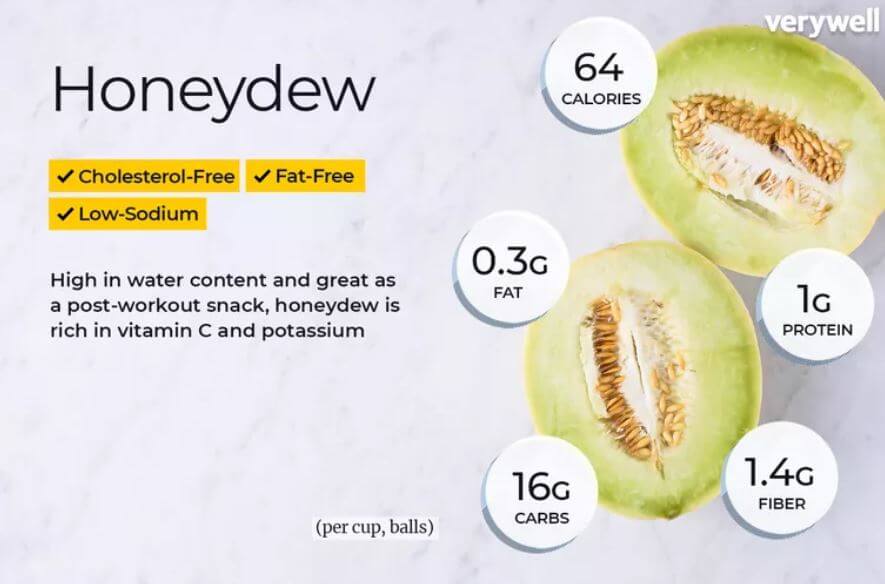 Can Bearded Dragons Eat Honeydew Melon?