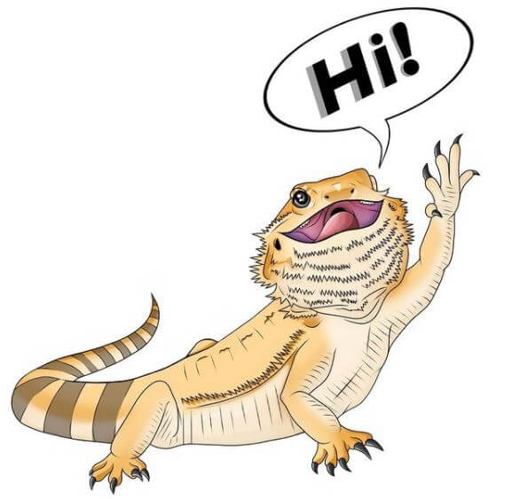 Why Do Bearded Dragons Wave