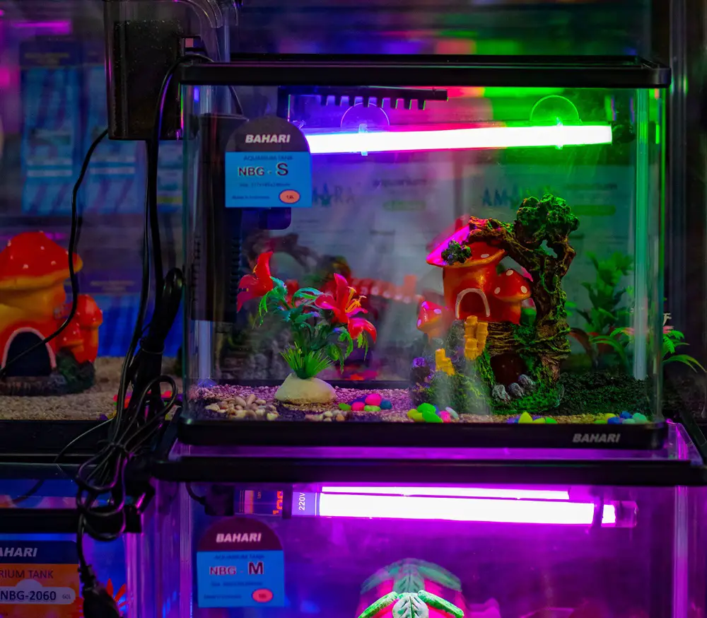 Can I Use a Reptile Light for Fish?