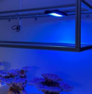 Can Led Lights Be Used For Reptiles