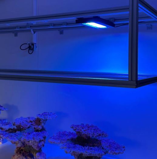 Can Led Lights Be Used For Reptiles