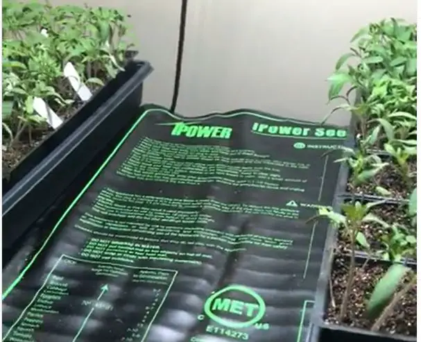 heat mat inside wooden vivarium