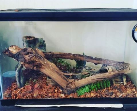 how to increase humidity in reptile tank