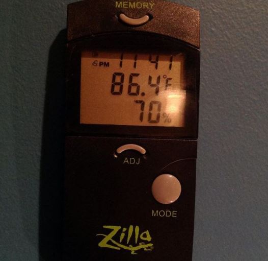 how to read a reptile thermometer