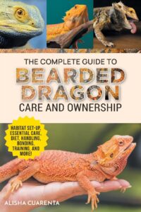 bearded dragon ownership