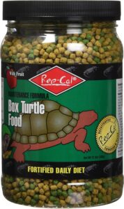 box turtle food