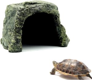 box turtles hideout