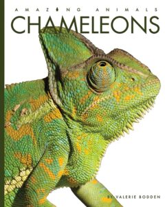 chameleons