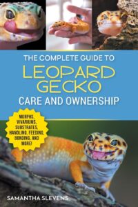 leopard gecko care guide