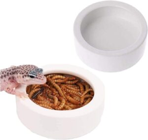 reptile bowl