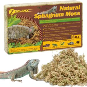 sphagnum moss for reptiles